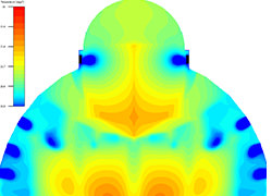 Thermal Comfort